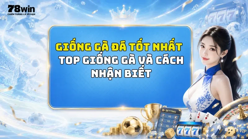Giống Gà Đá Tốt Nhất 78Win - Top Giống Gà Và Cách Nhận